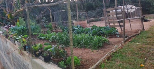 CHÁCARA À VENDA - 1.000m² - PONUNDUVA - CAJAMAR - Imagem 11