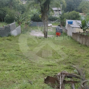 Terreno à Venda – 600m² com Água e Iluminação em Ponunduva, Cajamar/SP – Pronto para Construir