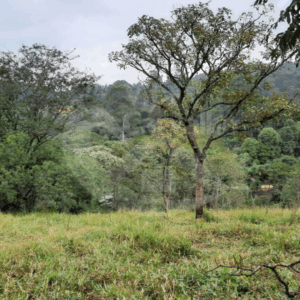 Terreno à Venda – 5.000m² com Escritura Definitiva e Infraestrutura Completa em Terras de Santa Maria, Itu/SP
